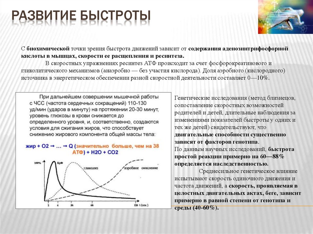 развитие быстроты