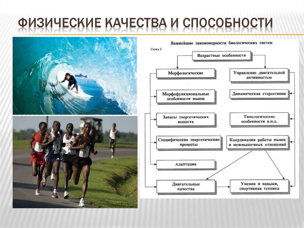 Физические качества и способности