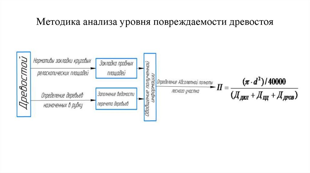 Методика анализа уровня повреждаемости древостоя