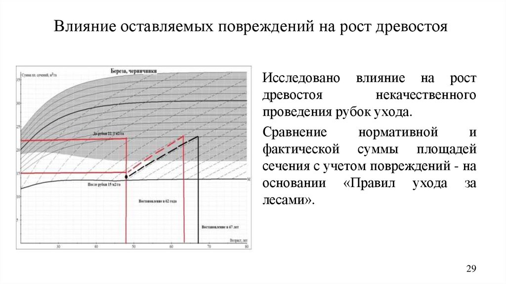 Влияние оставляемых повреждений на рост древостоя