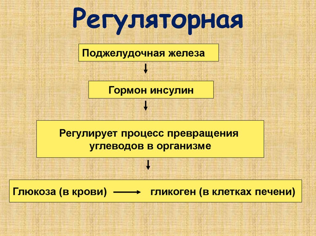 Регуляторная