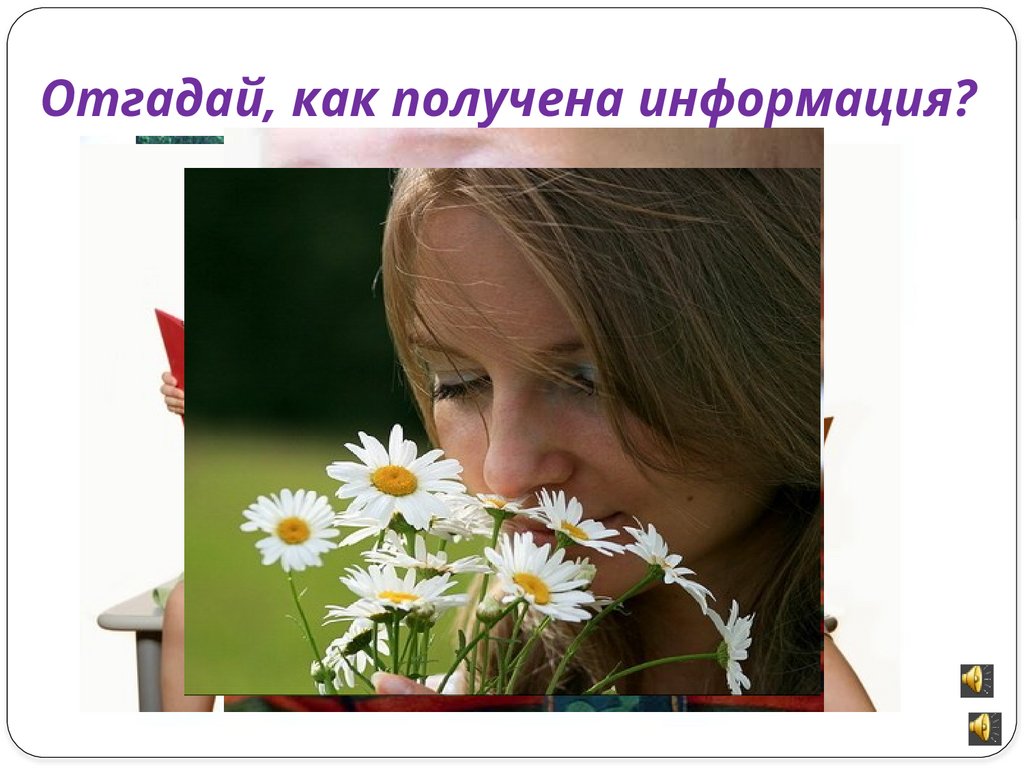 Отгадай, как получена информация?