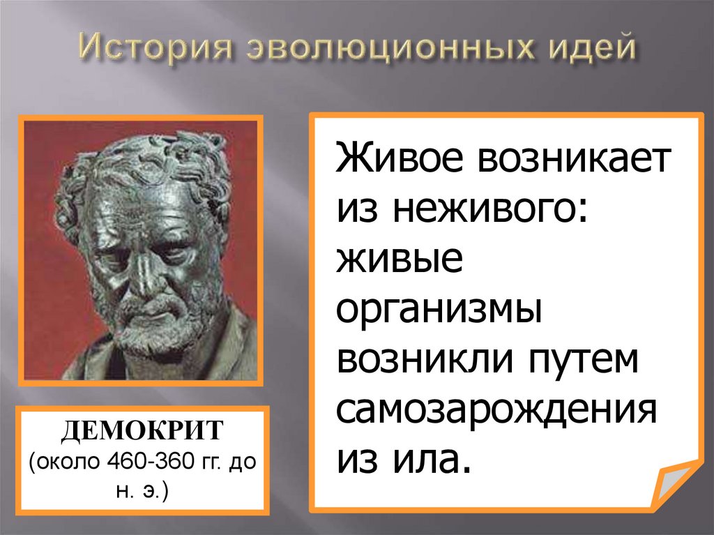 История эволюционных идей
