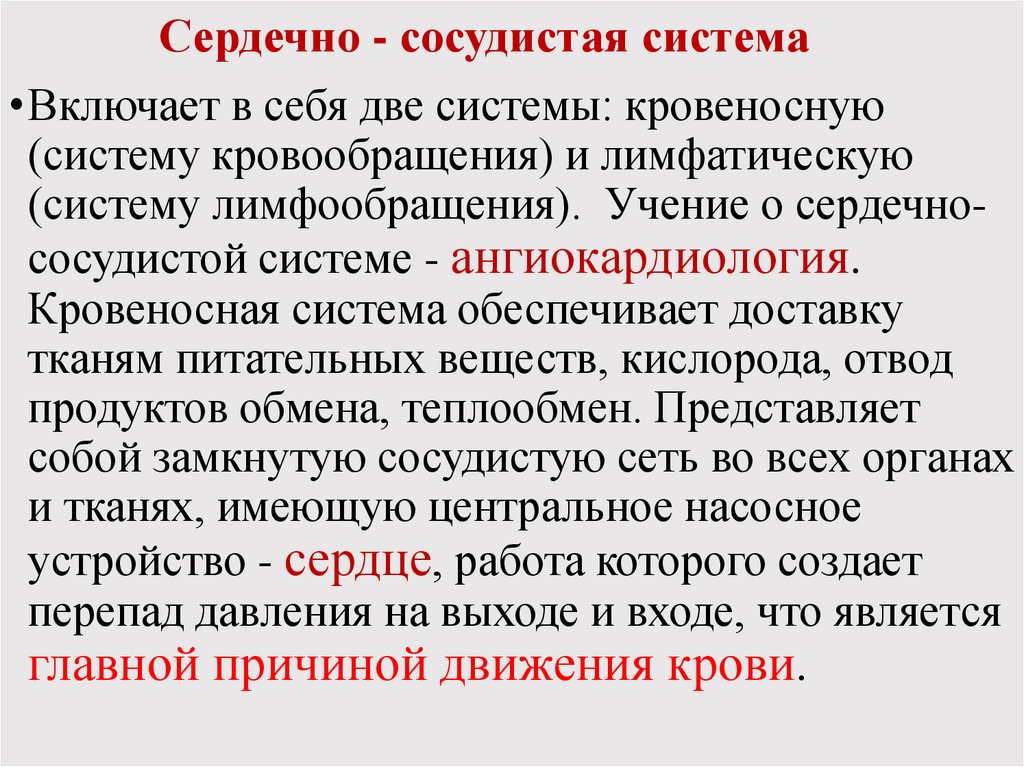 Сердечно - сосудистая система