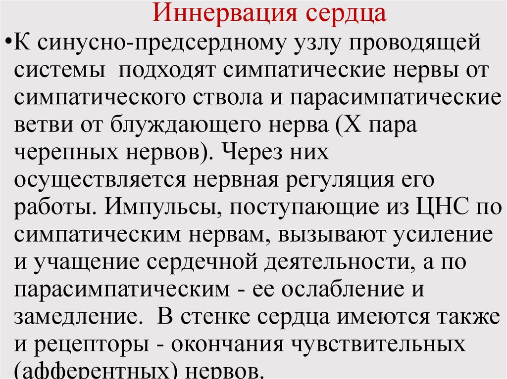 Иннервация сердца