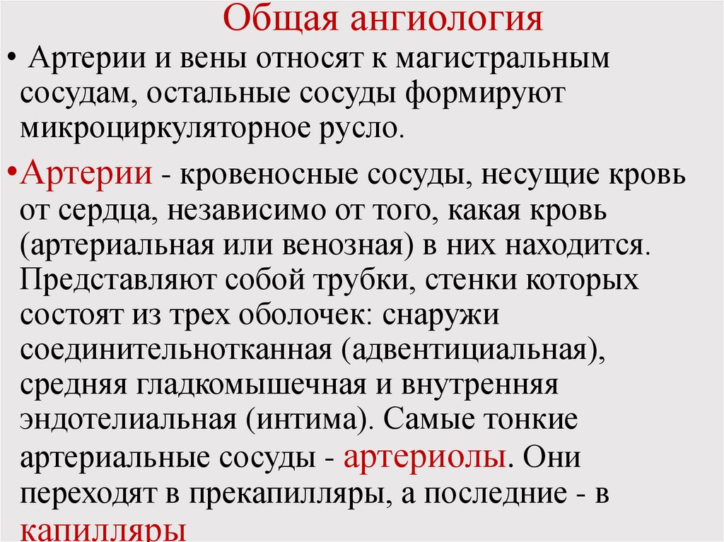 Общая ангиология