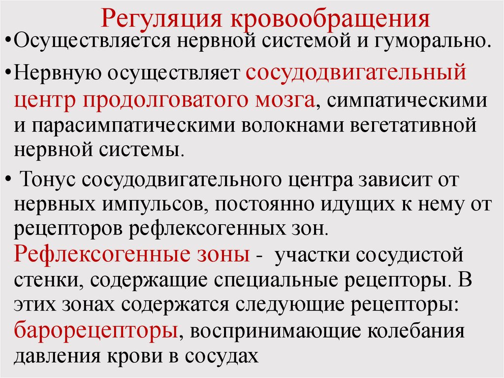 Регуляция кровообращения