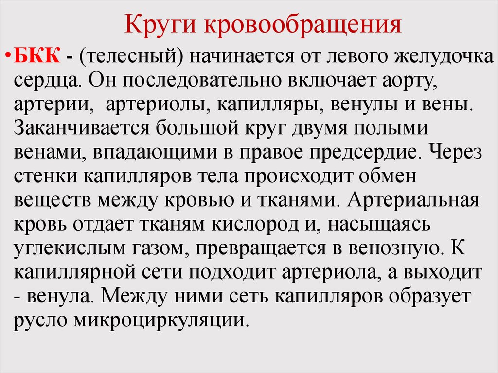 Круги кровообращения