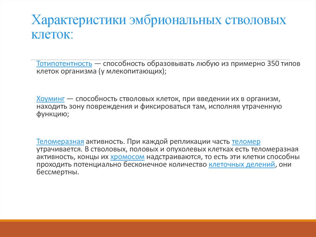 Характеристики эмбриональных стволовых клеток: