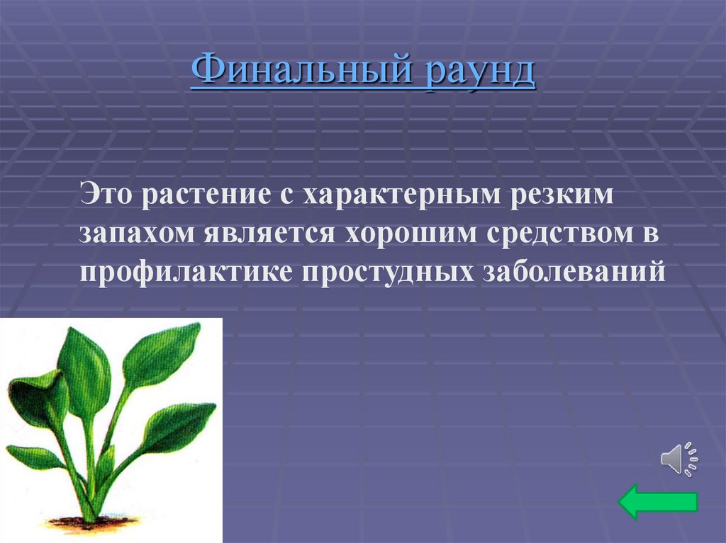 Финальный раунд