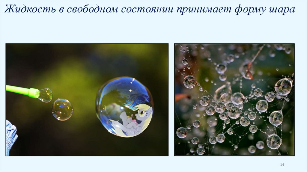 Жидкость в свободном состоянии принимает форму шара