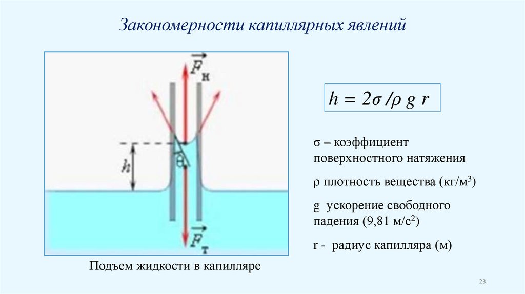 Капиллярный эффект