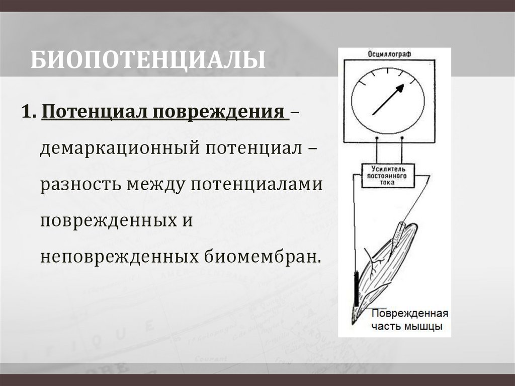 БИОПОТЕНЦИАЛЫ