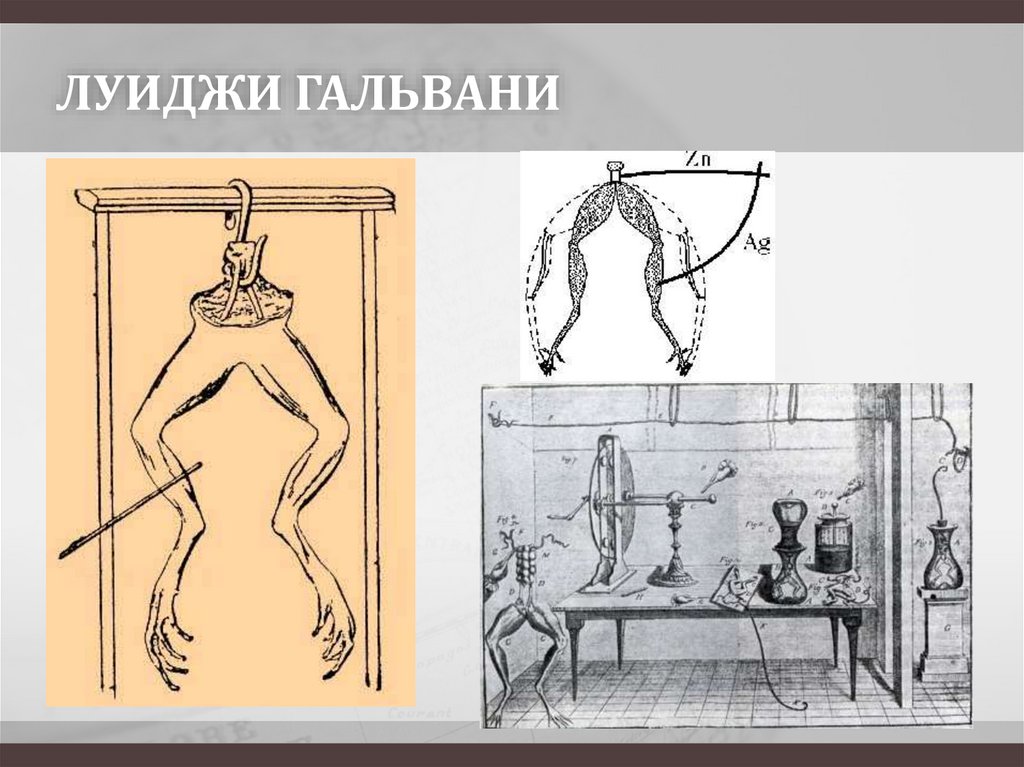 ЛУИДЖИ ГАЛЬВАНИ