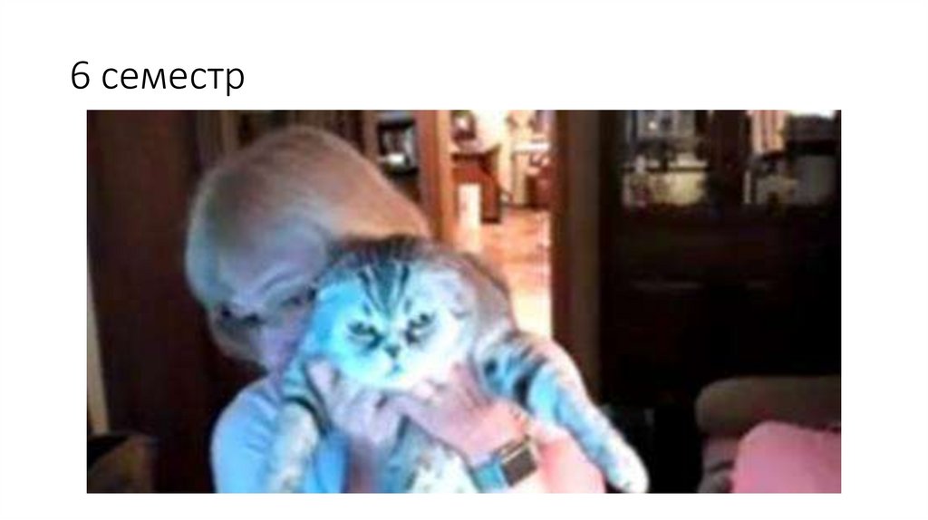 6 семестр