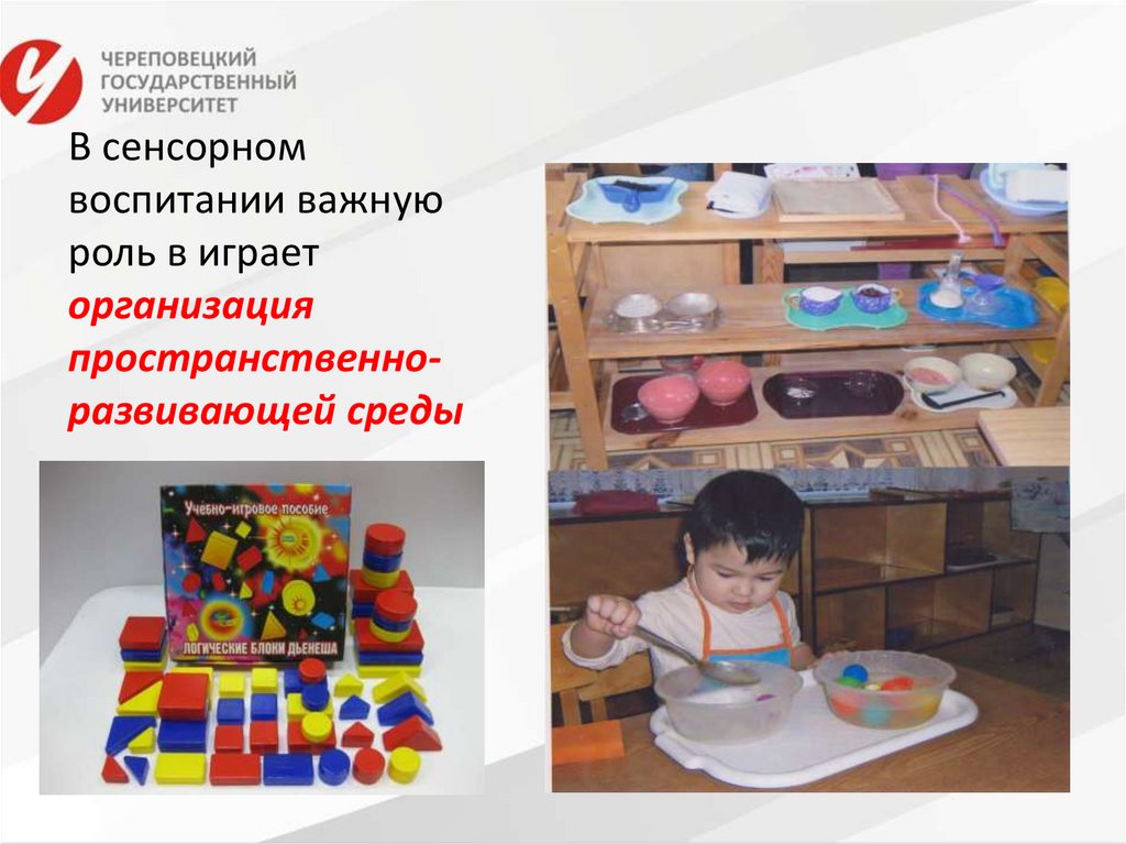 В сенсорном воспитании важную роль в играет организация пространственно-развивающей среды