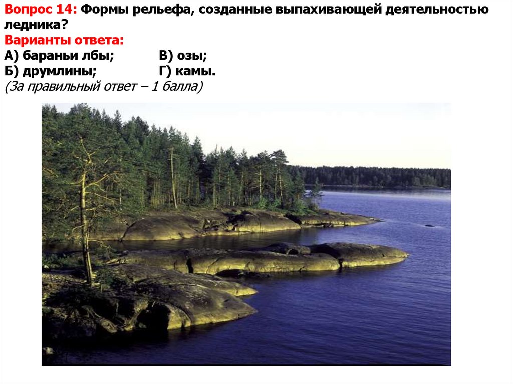 Вопрос 14: Формы рельефа, созданные выпахивающей деятельностью ледника? Варианты ответа: А) бараньи лбы; В) озы; Б) друмлины;