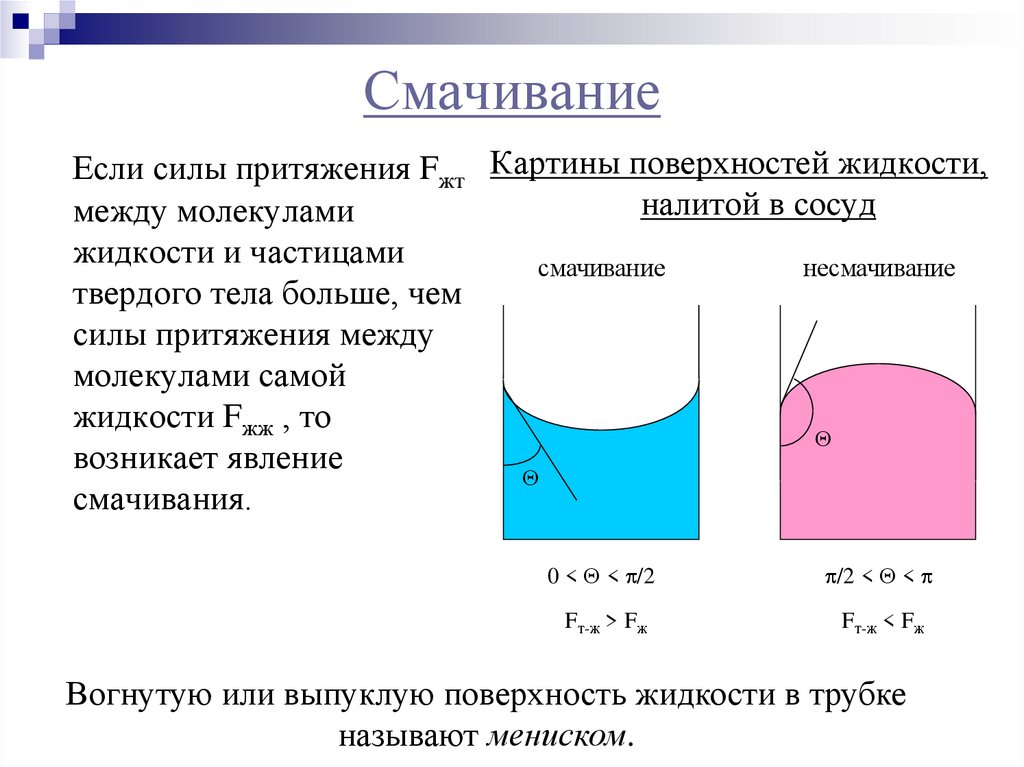 Смачивание