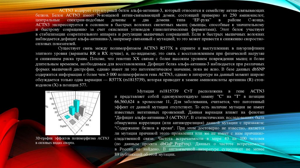 Существует связь между полиморфизмом ACTN3 R577X в спринте и выступлениях в пауэрлифтинге элитного уровня (варианты RR и RX