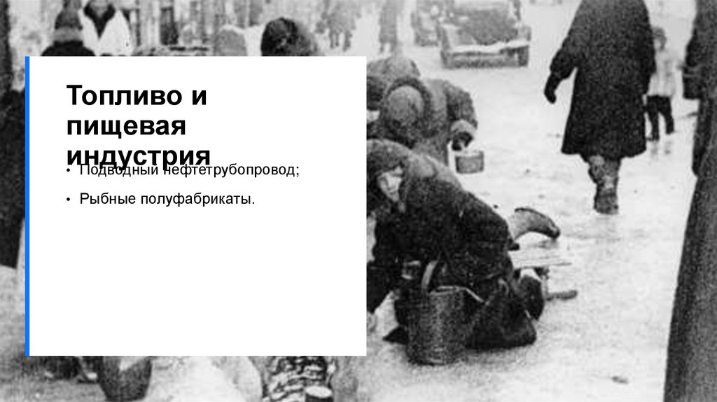 Топливо и пищевая индустрия