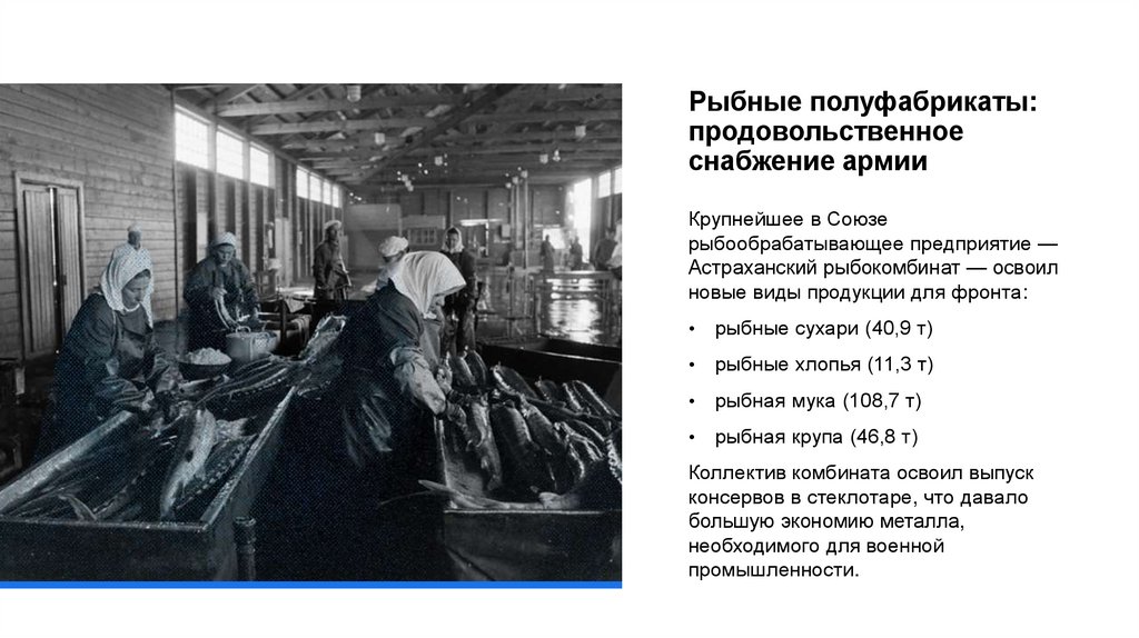 Рыбные полуфабрикаты: продовольственное снабжение армии