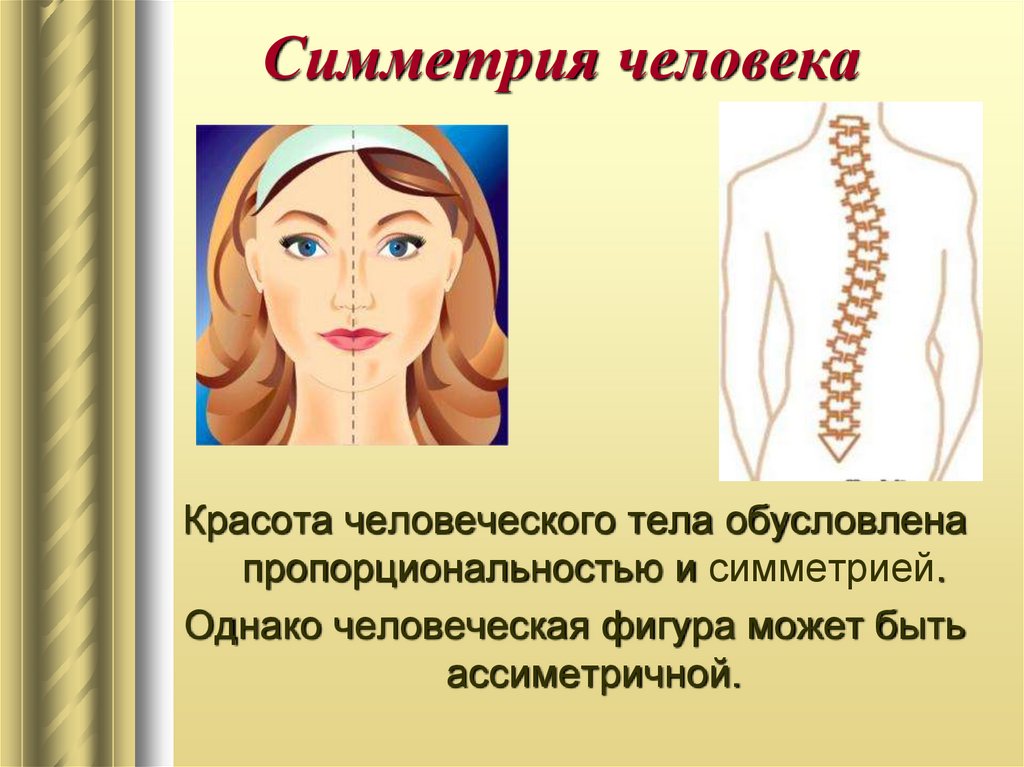 Симметрия человека