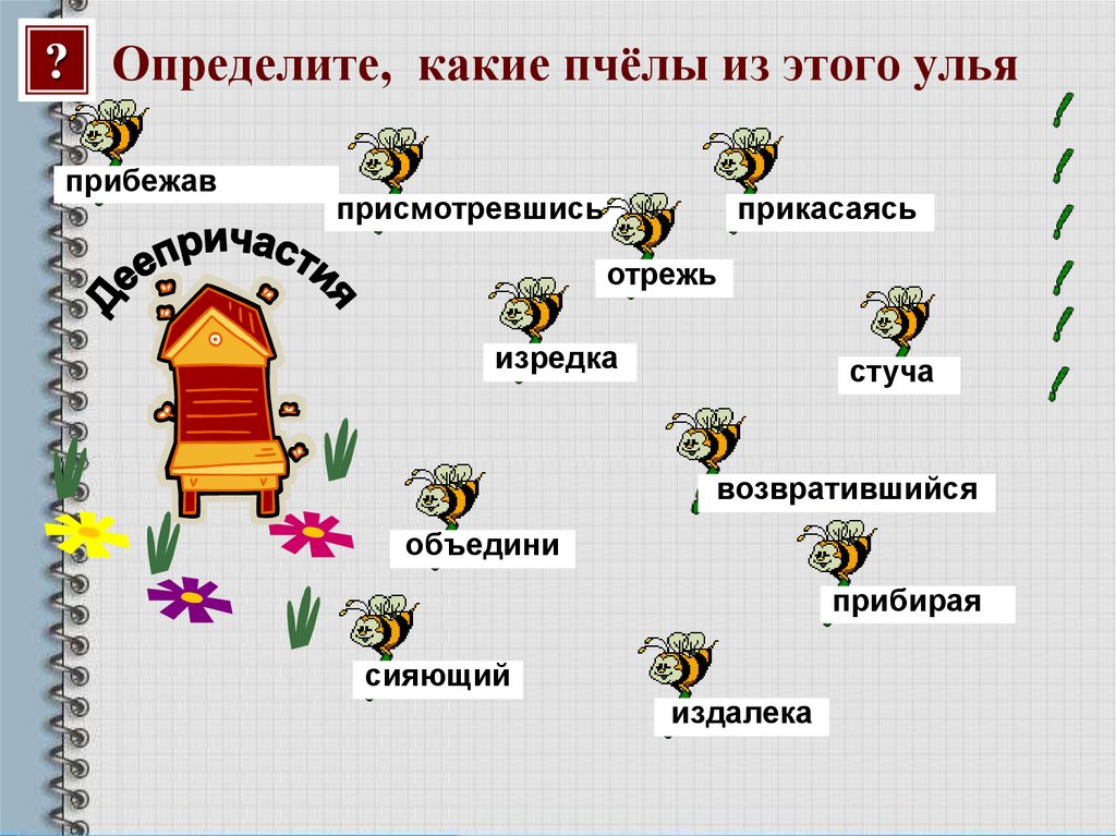 Определите, какие пчёлы из этого улья