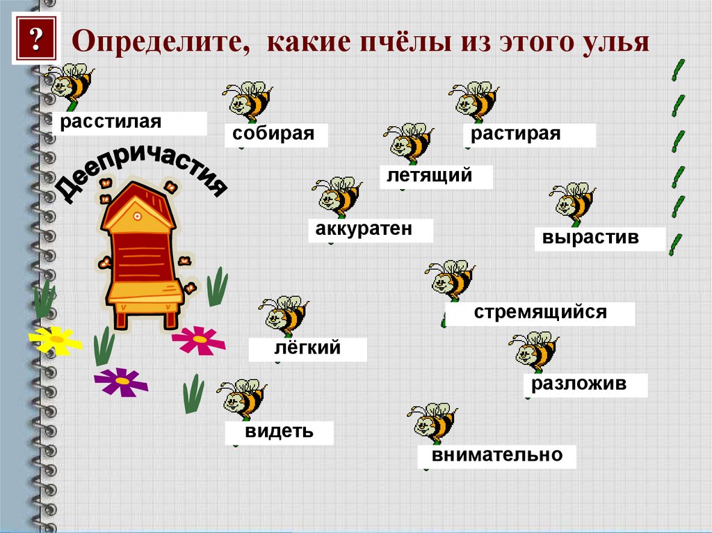 Определите, какие пчёлы из этого улья