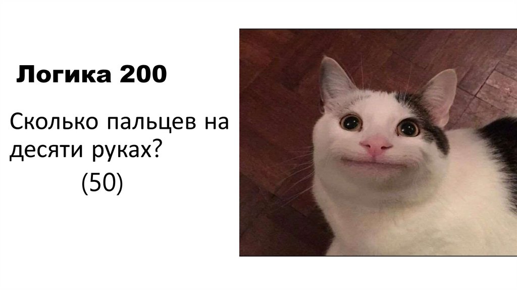 Логика 200