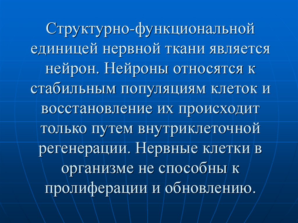 Структурно-функциональной единицей нервной ткани является нейрон. Нейроны относятся к стабильным популяциям клеток и