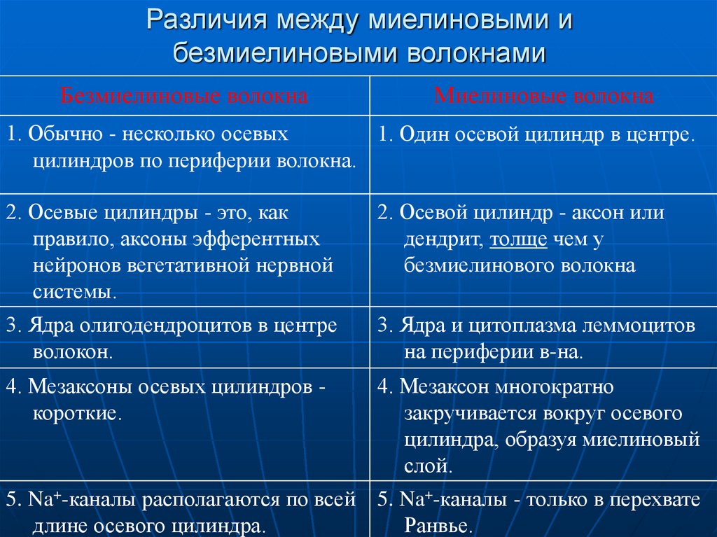 Различия между миелиновыми и безмиелиновыми волокнами