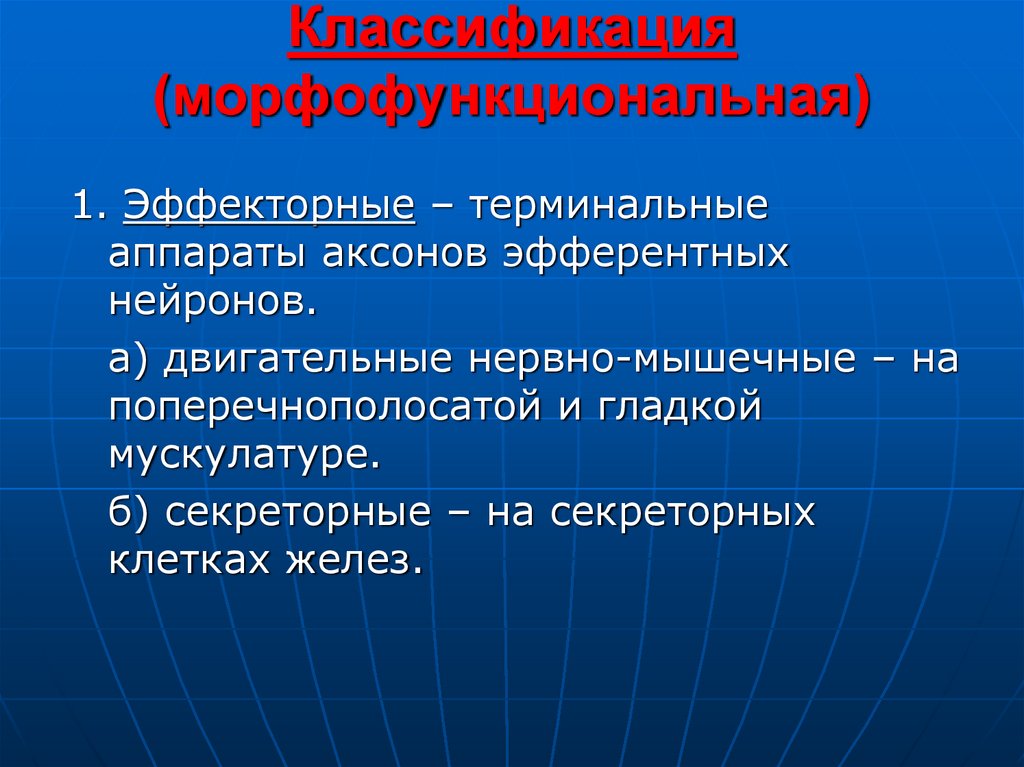 Классификация (морфофункциональная)