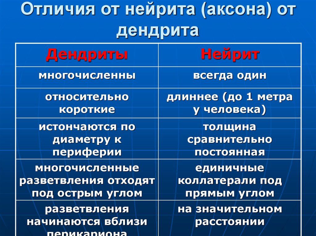 Отличия от нейрита (аксона) от дендрита