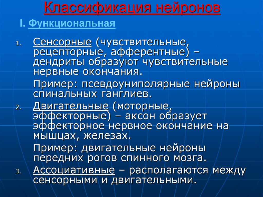 Классификация нейронов