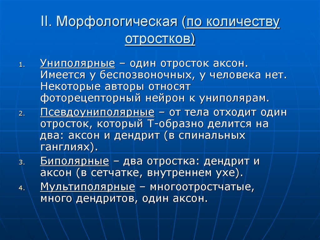 II. Морфологическая (по количеству отростков)