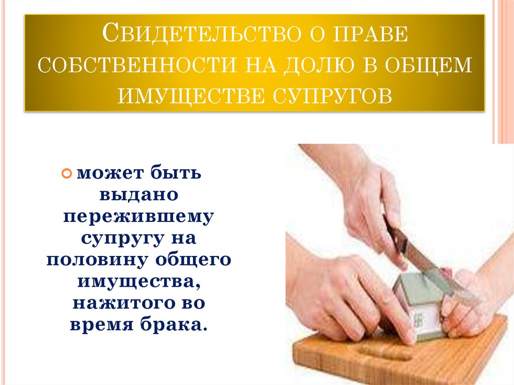 Свидетельство о праве собственности на долю в общем имуществе супругов