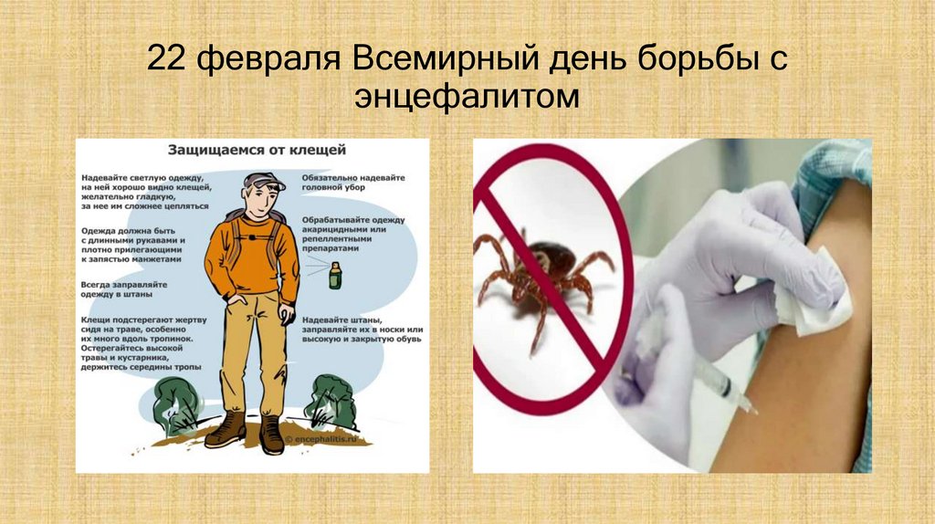 22 февраля Всемирный день борьбы с энцефалитом