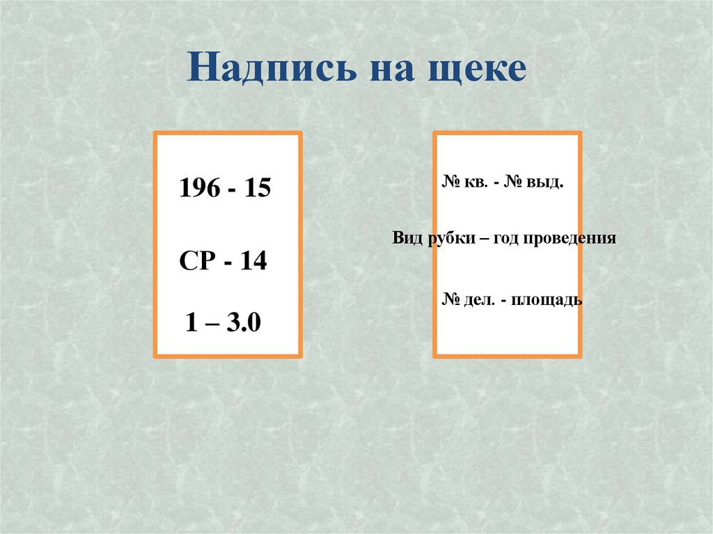 Надпись на щеке