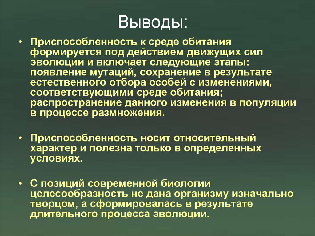 Выводы: