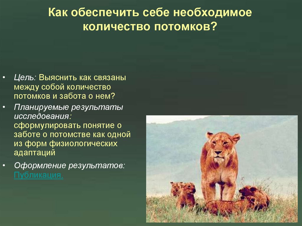 Как обеспечить себе необходимое количество потомков?