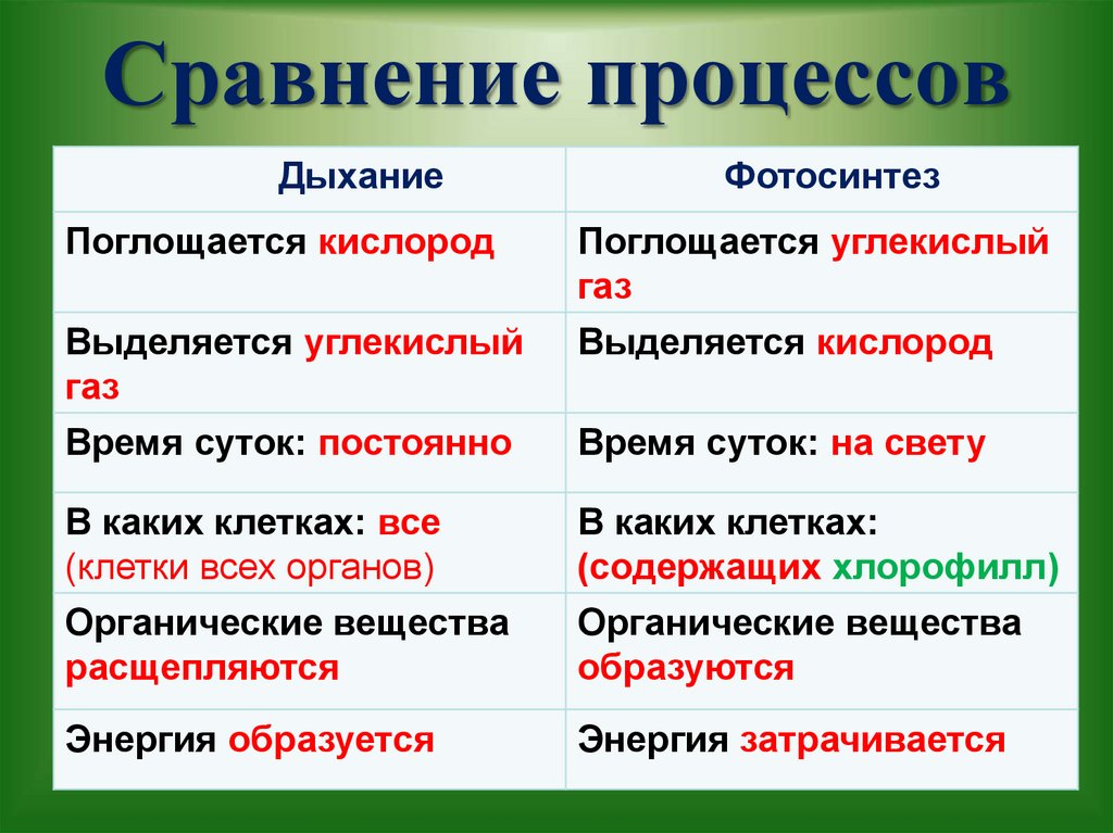 Сравнение процессов