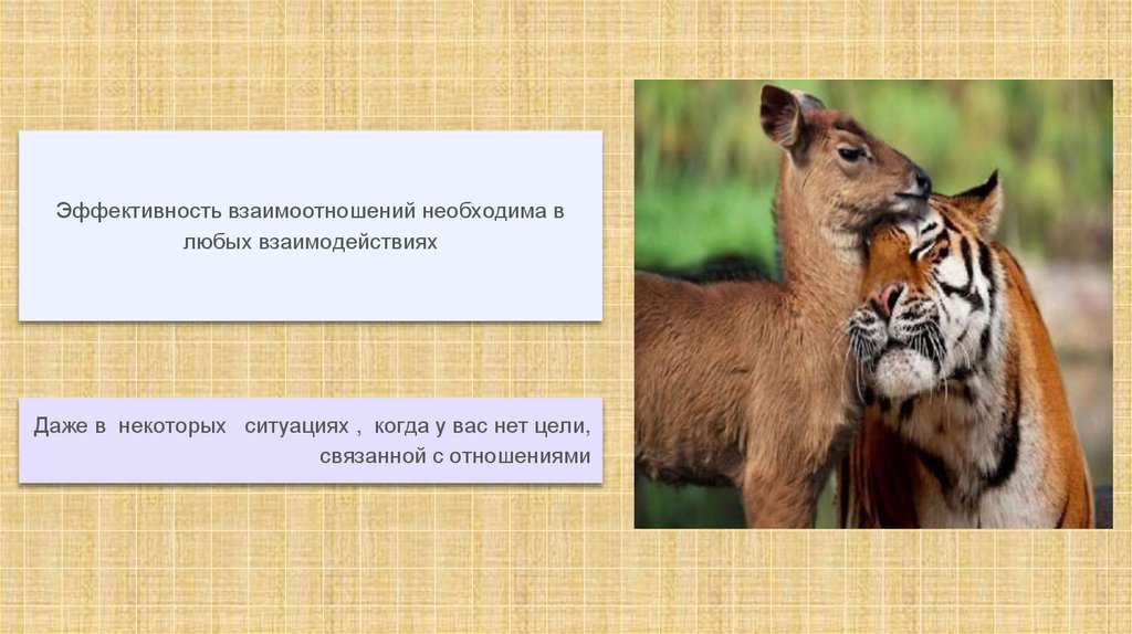 Даже в некоторых ситуациях , когда у вас нет цели, связанной с отношениями