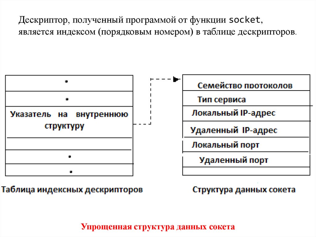 Дескриптор, полученный программой от функции socket, является индексом (порядковым номером) в таблице дескрипторов.
