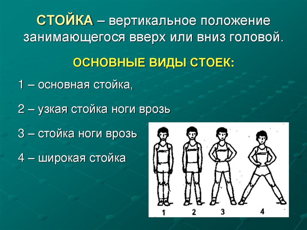 СТОЙКА – вертикальное положение занимающегося вверх или вниз головой.