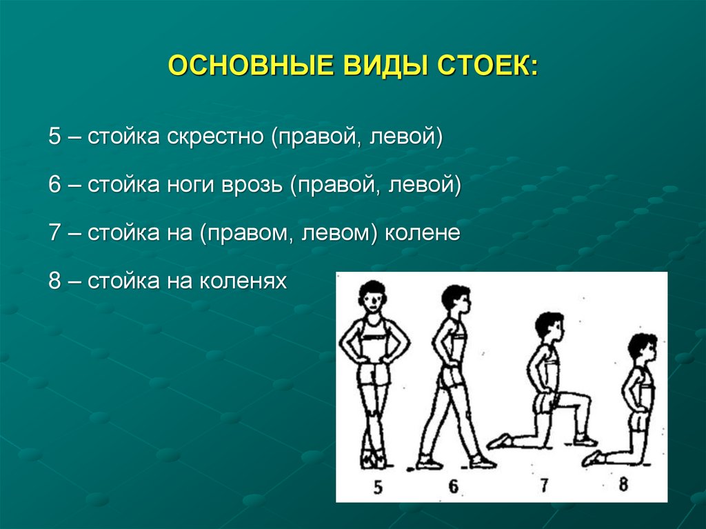 ОСНОВНЫЕ ВИДЫ СТОЕК: