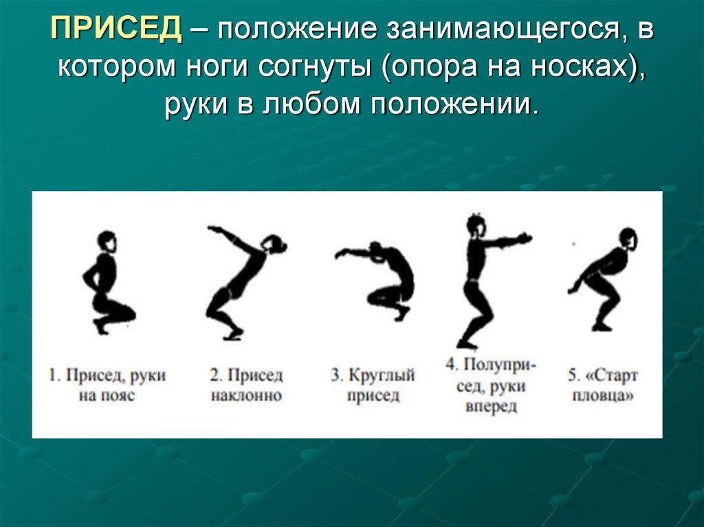 ПРИСЕД – положение занимающегося, в котором ноги согнуты (опора на носках), руки в любом положении.
