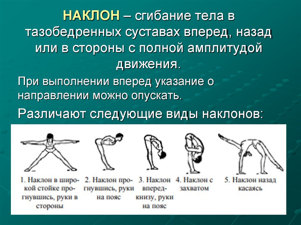 НАКЛОН – сгибание тела в тазобедренных суставах вперед, назад или в стороны с полной амплитудой движения.