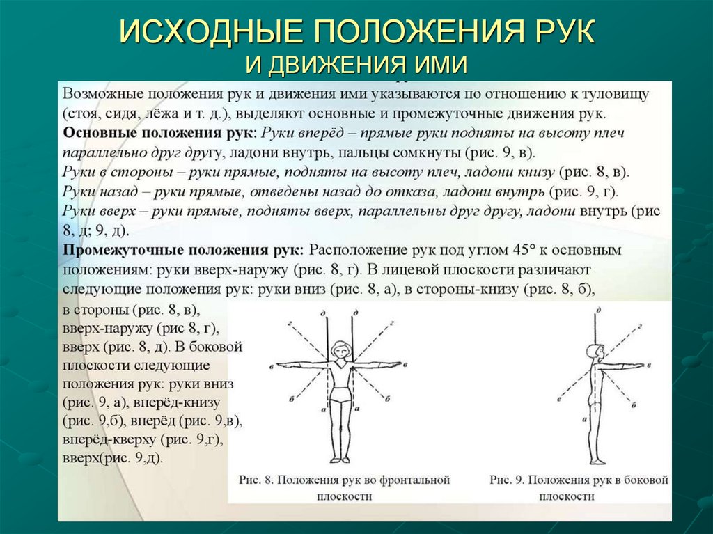 ИСХОДНЫЕ ПОЛОЖЕНИЯ РУК И ДВИЖЕНИЯ ИМИ