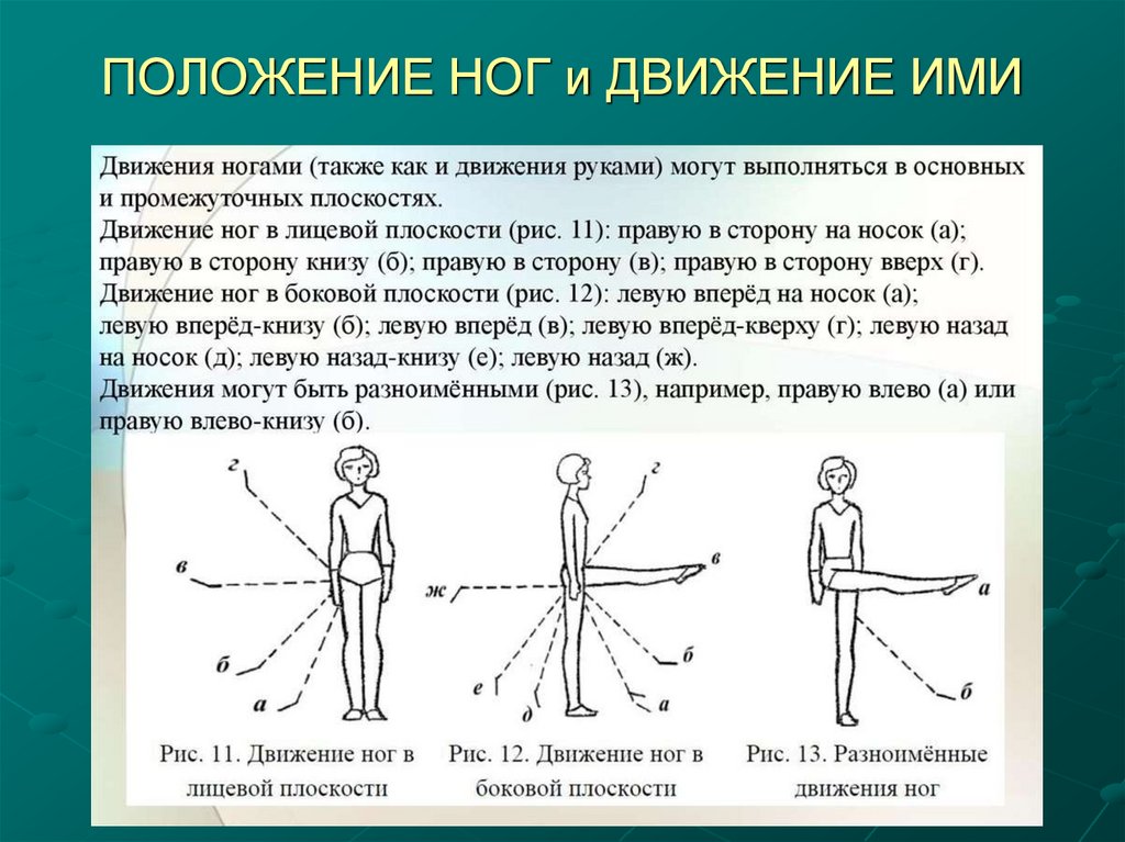 ПОЛОЖЕНИЕ НОГ и ДВИЖЕНИЕ ИМИ