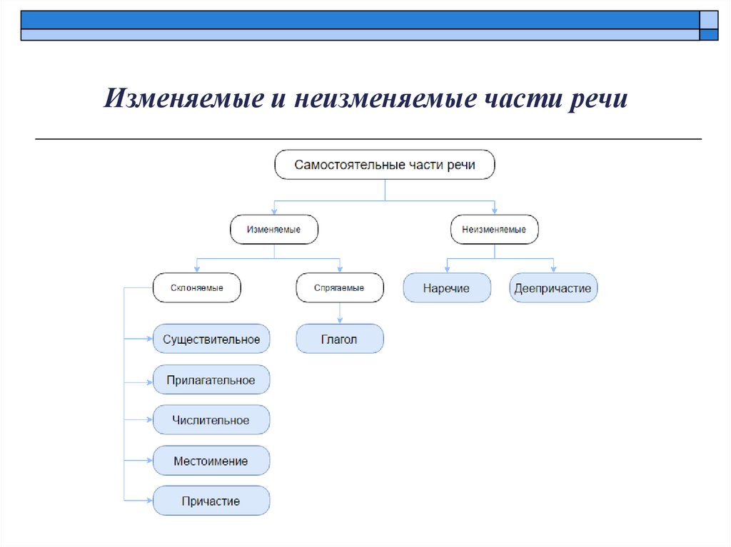 Изменяемые и неизменяемые части речи
